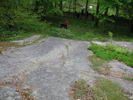 Rock carvings in a forest