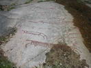 The rock carvings