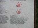 Animal tracks