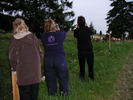 The cowgirls at the fence