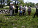 Maze Inspectors und Labyrinthforscher