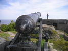 Alte Kanone
