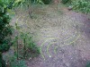 Babylonian Labyrinth