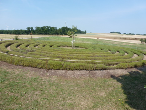 kastellaun_2015_08_4
