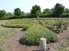 kastellaun_2015_08_8