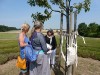 kastellaun_2015_08_9