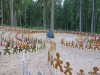 valguma_2015_08_19