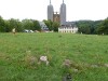 vierzehnheiligen_2014_07_30_2