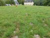 vierzehnheiligen_2014_07_30_4