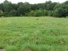 vierzehnheiligen_2014_07_30_8