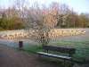altenkirchen_36