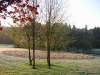 altenkirchen_40