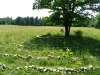 windsheim_06