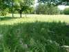 windsheim_10