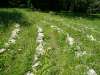 windsheim_13
