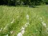 windsheim_14