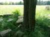 windsheim_18