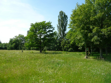 windsheim_03