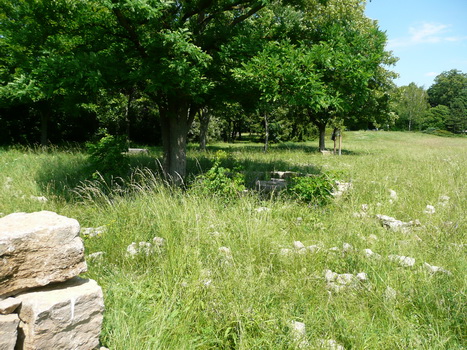 windsheim_07