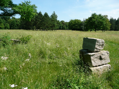 windsheim_08