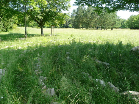 windsheim_10