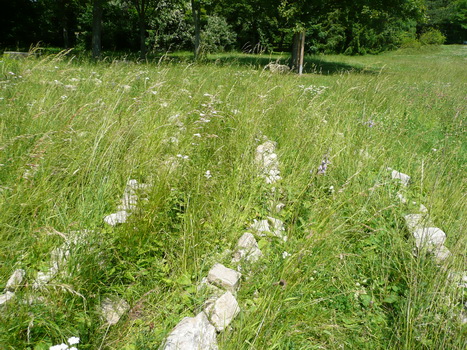 windsheim_14
