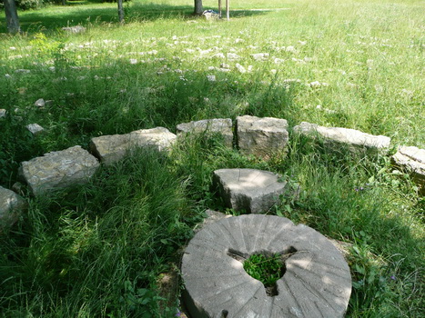 windsheim_17