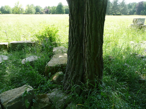 windsheim_18