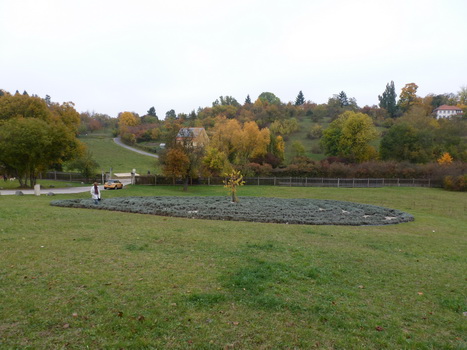 bamberg_06