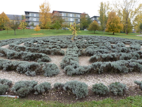 bamberg_08