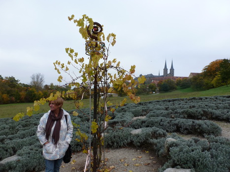 bamberg_10