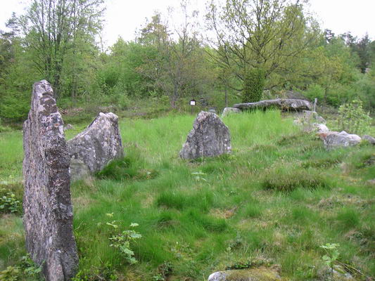 bjoernemyren_06