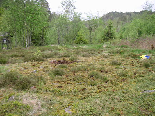 bjoernemyren_09