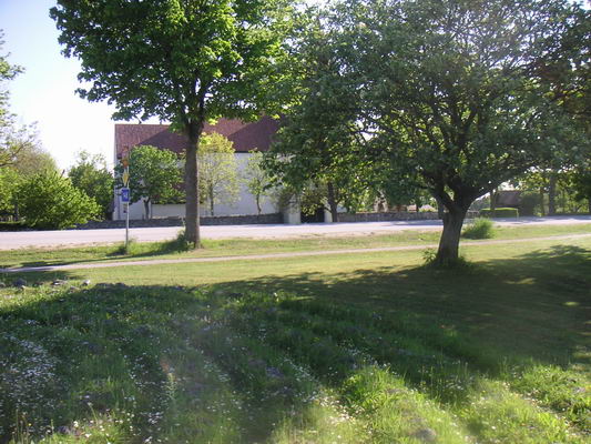 bunge_06