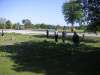 bunge_04