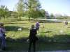 bunge_12