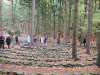 Waldlabyrinth