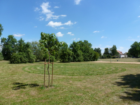 dettelbach_2014_05_bis_09_07