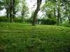 disibod_08
