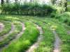 disibod_11