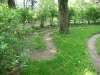 disibod_12