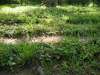 disibod_23