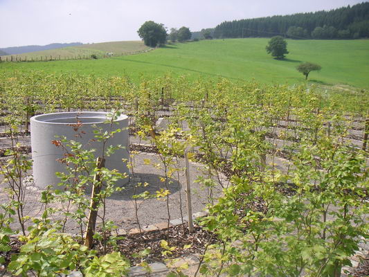 drolshagen_12