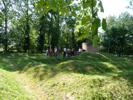 mallum_16