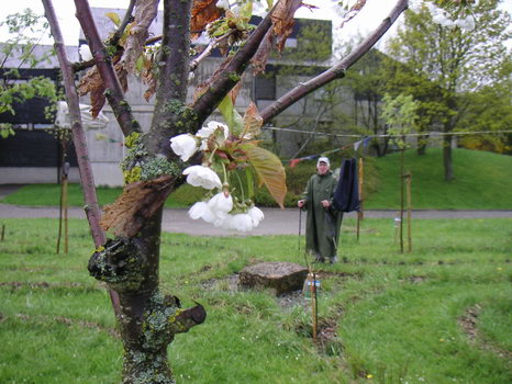 eisingen_42