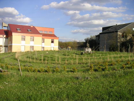 eisingen_63