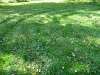 Classical labyrinth