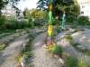 Stone labyrinth