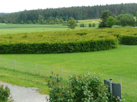 flachslanden_05
