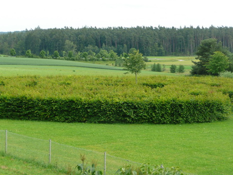 flachslanden_06